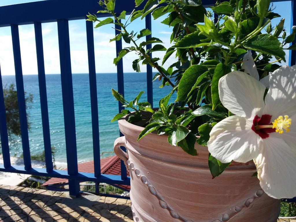 לאסי Constantinos Apartments מראה חיצוני תמונה