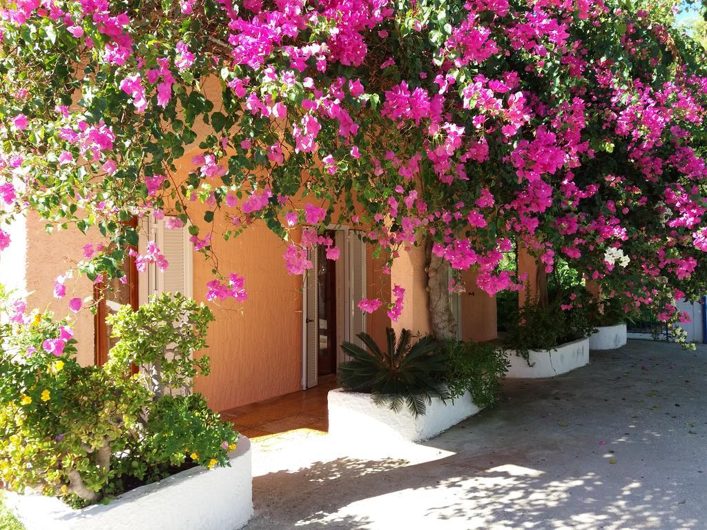 לאסי Constantinos Apartments מראה חיצוני תמונה