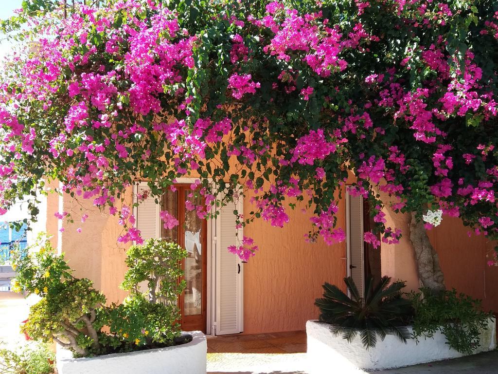 לאסי Constantinos Apartments מראה חיצוני תמונה